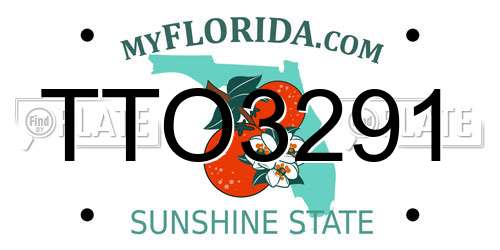TTO3291 Florida License Plate