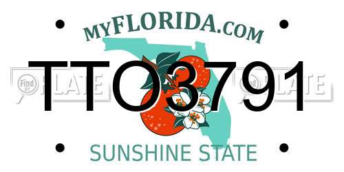 TTO3791 Florida License Plate