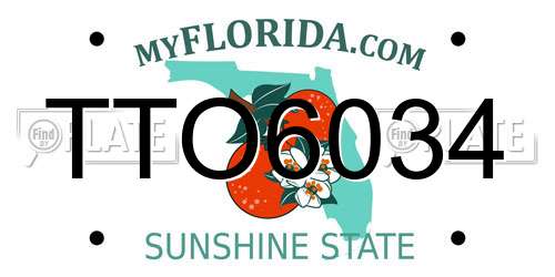 TTO6034 Florida License Plate