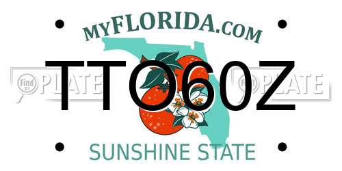 TTO60Z Florida License Plate