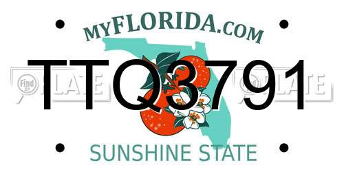 TTQ3791 Florida License Plate