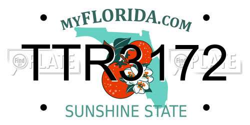 TTR3172 Florida License Plate