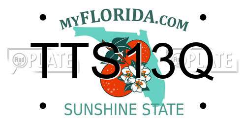 TTS13Q Florida License Plate