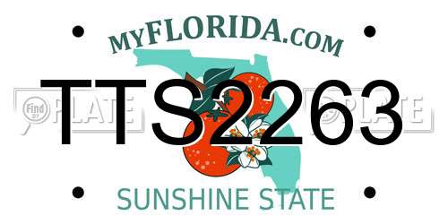 TTS2263 Florida License Plate