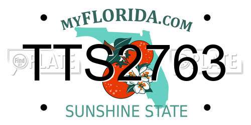 TTS2763 Florida License Plate