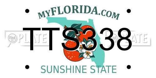 TTS338 Florida License Plate