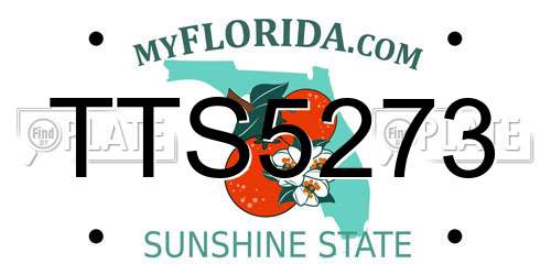TTS5273 Florida License Plate