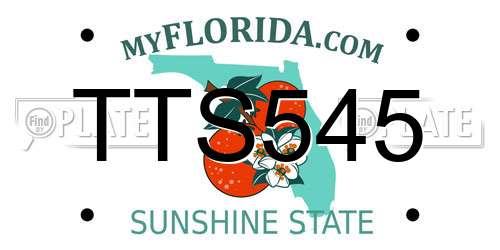 TTS545 Florida License Plate
