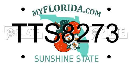 TTS8273 Florida License Plate