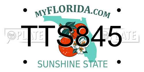 TTS845 Florida License Plate
