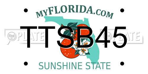TTSB45 Florida License Plate