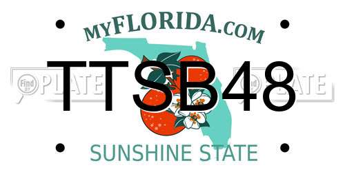 TTSB48 Florida License Plate