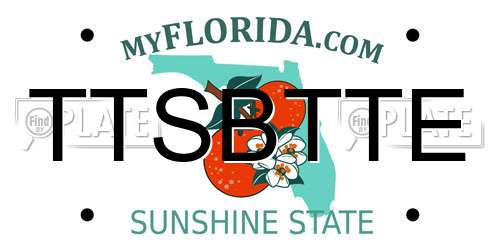 TTSBTTE Florida License Plate