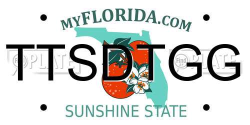 TTSDTGG Florida License Plate
