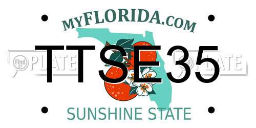TTSE35 Florida License Plate