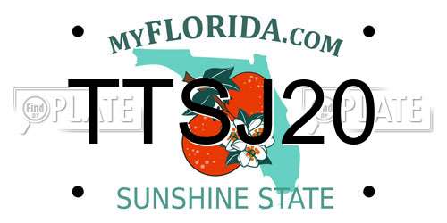 TTSJ20 Florida License Plate