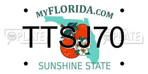 TTSJ70 Florida License Plate