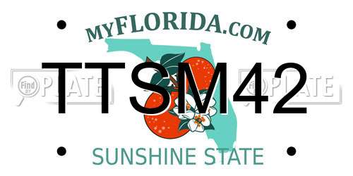 TTSM42 Florida License Plate