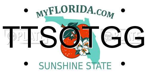 TTSOTGG Florida License Plate