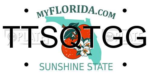TTSQTGG Florida License Plate