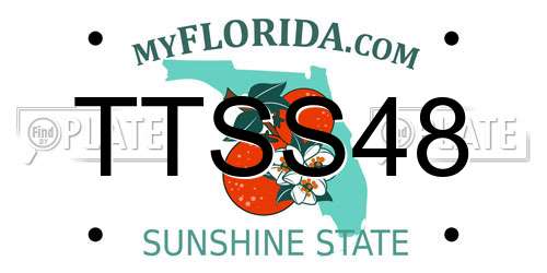 TTSS48 Florida License Plate
