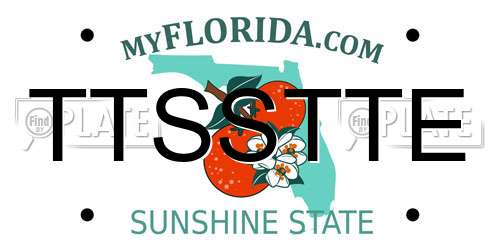 TTSSTTE Florida License Plate