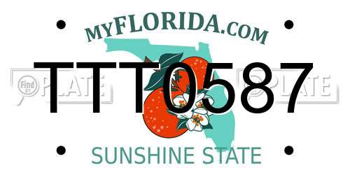 TTT0587 Florida License Plate