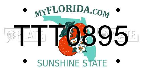 TTT0895 Florida License Plate