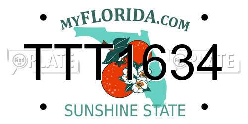 TTT1634 Florida License Plate
