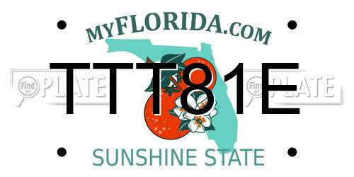 TTT81E Florida License Plate
