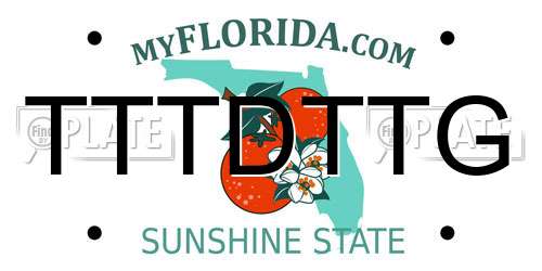 TTTDTTG Florida License Plate