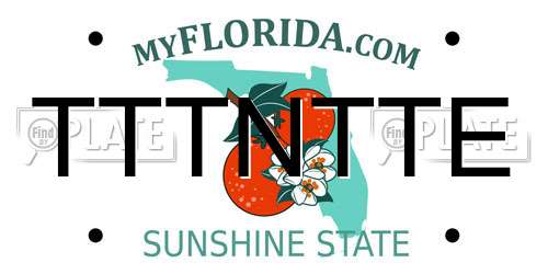 TTTNTTE Florida License Plate