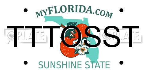 TTTOSST Florida License Plate