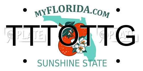 TTTOTTG Florida License Plate