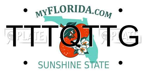 TTTQTTG Florida License Plate