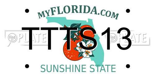 TTTS13 Florida License Plate