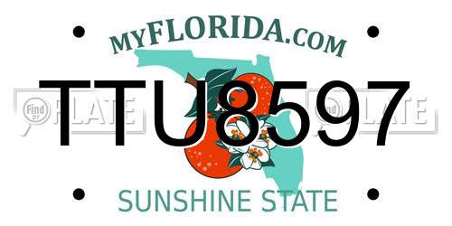 TTU8597 Florida License Plate