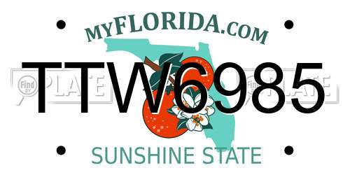 TTW6985 Florida License Plate