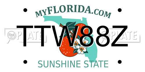 TTW88Z Florida License Plate