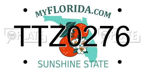 TTZ0276 Florida License Plate