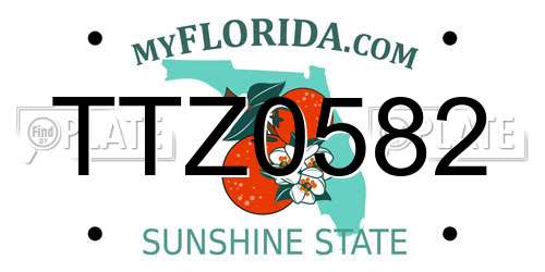 TTZ0582 Florida License Plate