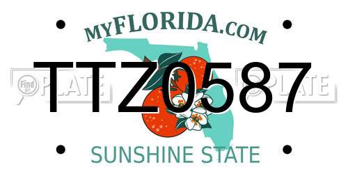 TTZ0587 Florida License Plate