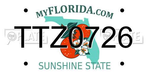 TTZ0726 Florida License Plate