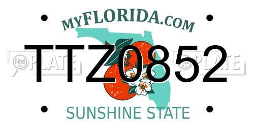 TTZ0852 Florida License Plate