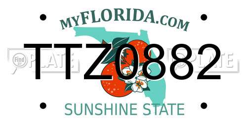 TTZ0882 Florida License Plate