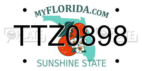 TTZ0898 Florida License Plate