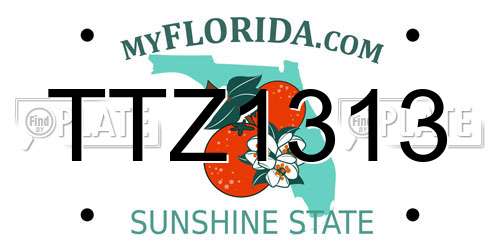 TTZ1313 Florida License Plate