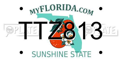 TTZ813 Florida License Plate