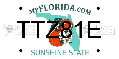 TTZ81E Florida License Plate