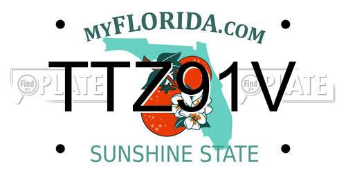 TTZ91V Florida License Plate